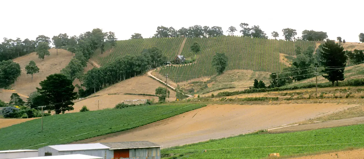 Adelaide Hills