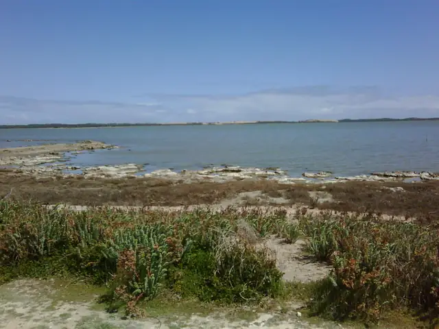 Coorong, South Australia