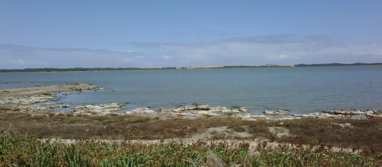 Coorong