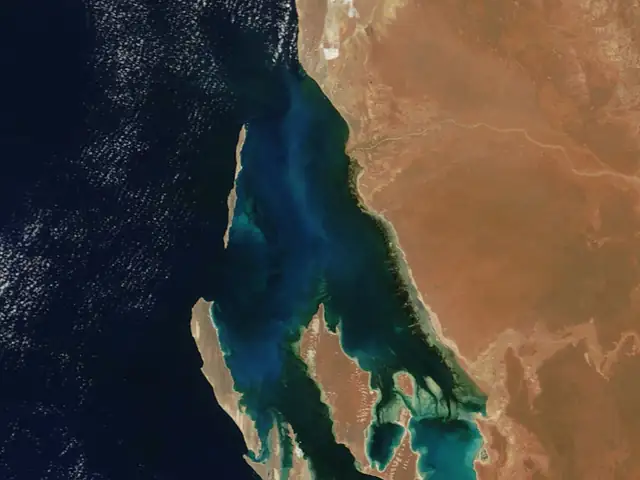 Shark Bay, Western Australia