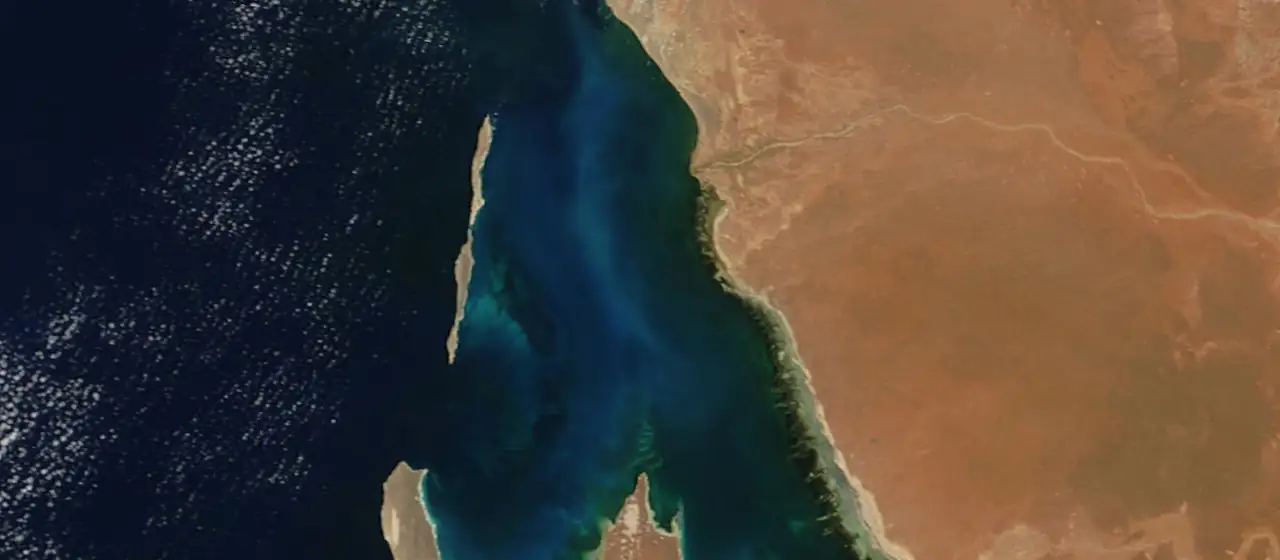 Shark Bay, Western Australia